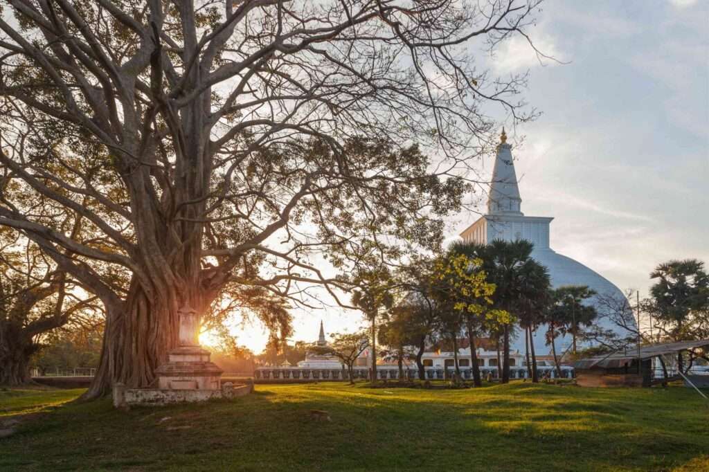 Anuradhapura Vacation 1 scaled 1