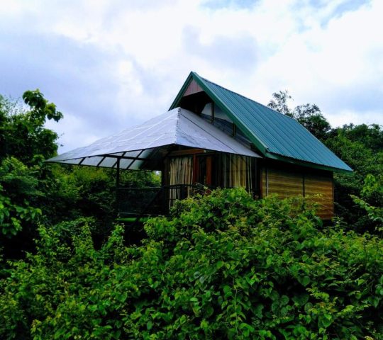 Nice Place Resort Sigiriya